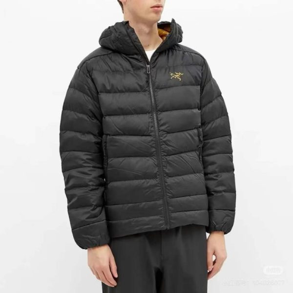 ARC'TERYX down jacket
