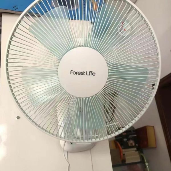 110V copper motor wall fan
