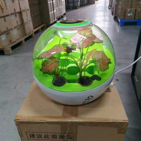 Eco Air Purifier