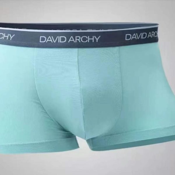 DAVDARCHY Men's Boxer Briefs