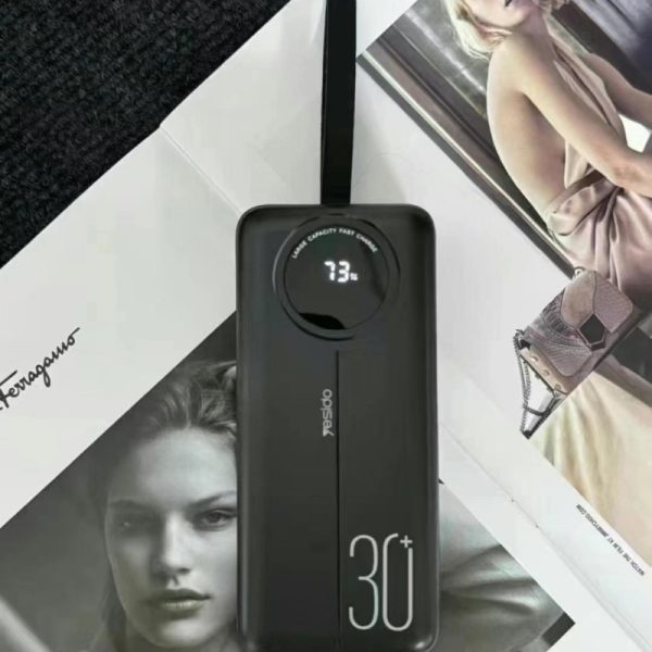 High-Capacity Power Bank